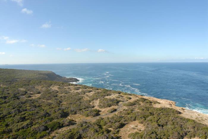 Cape Nelson Lighthouse Villa Portland Buitenkant foto